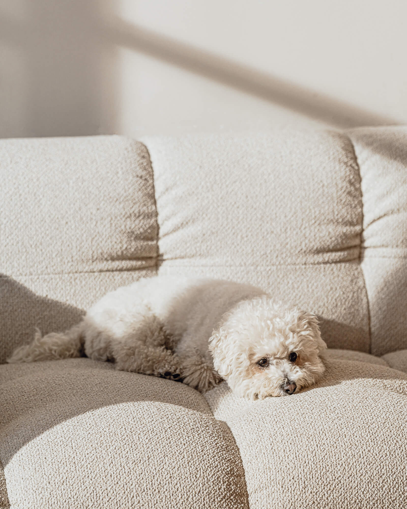 Bolbi Sofa 2-seater - Image 8