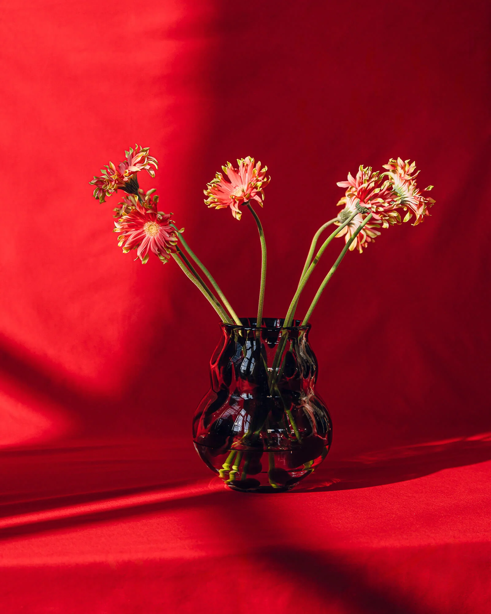 Dam Vase - Image 7