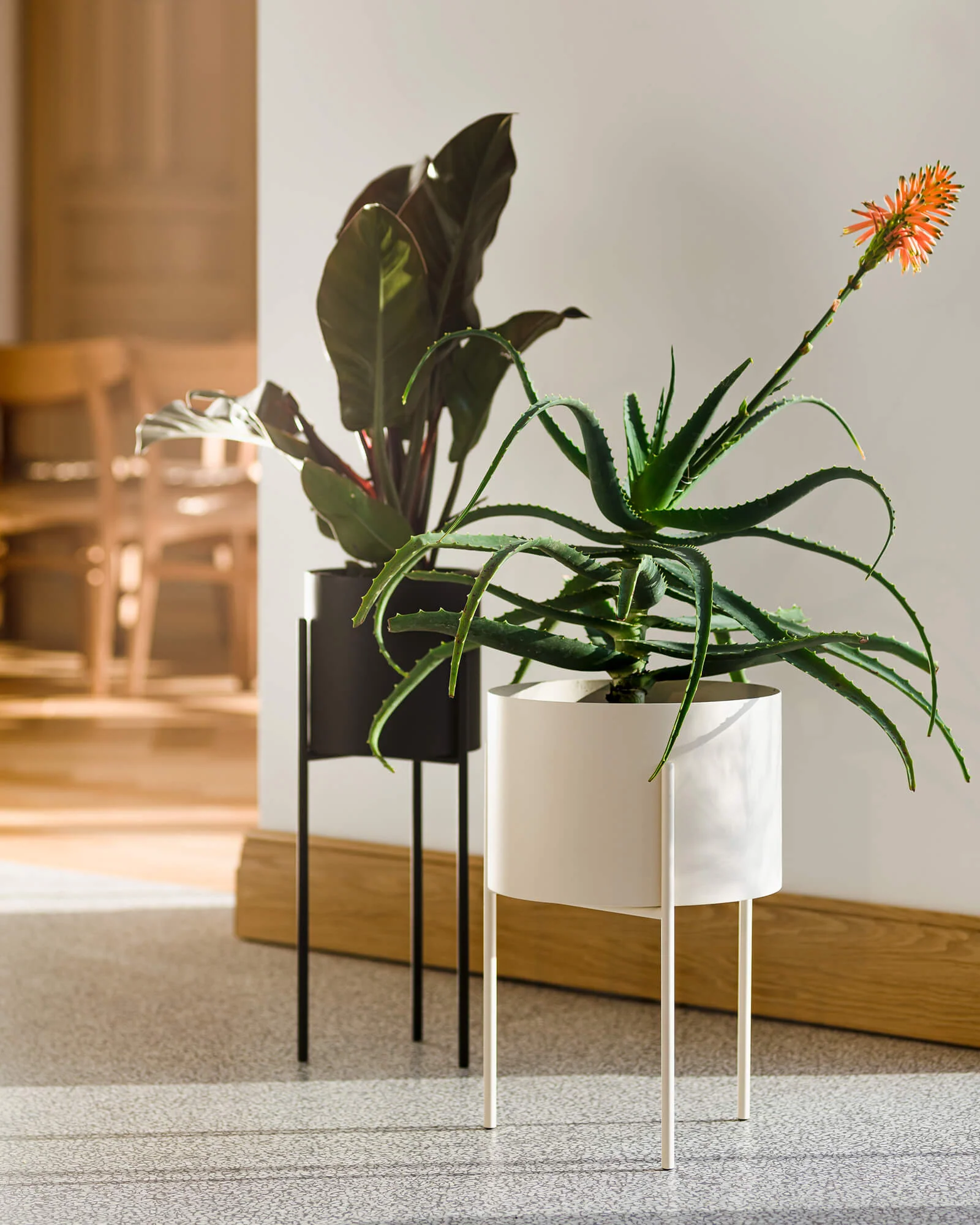 Maki Plant Pot - tall - Image 6