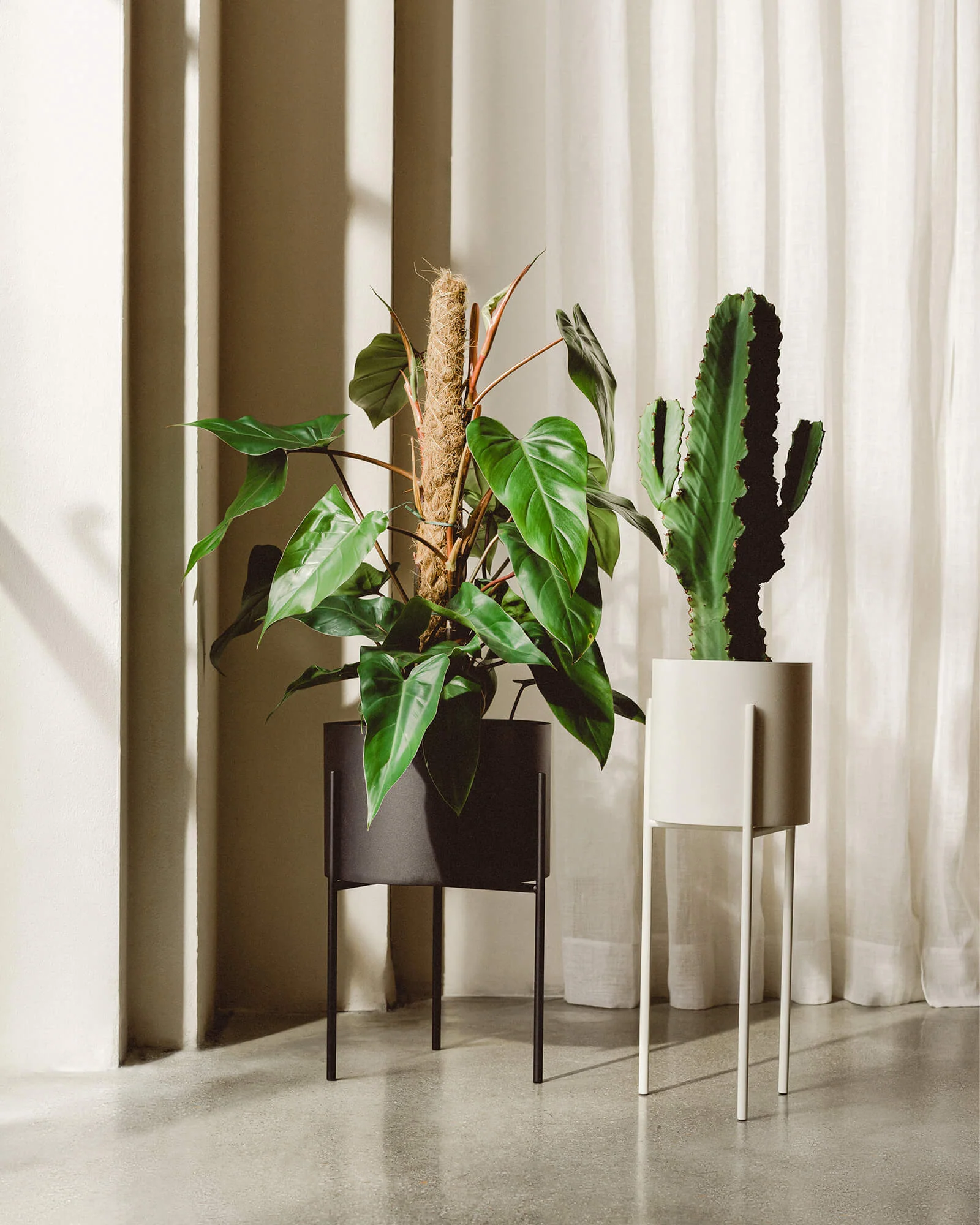 Maki Plant Pot - tall - Image 7