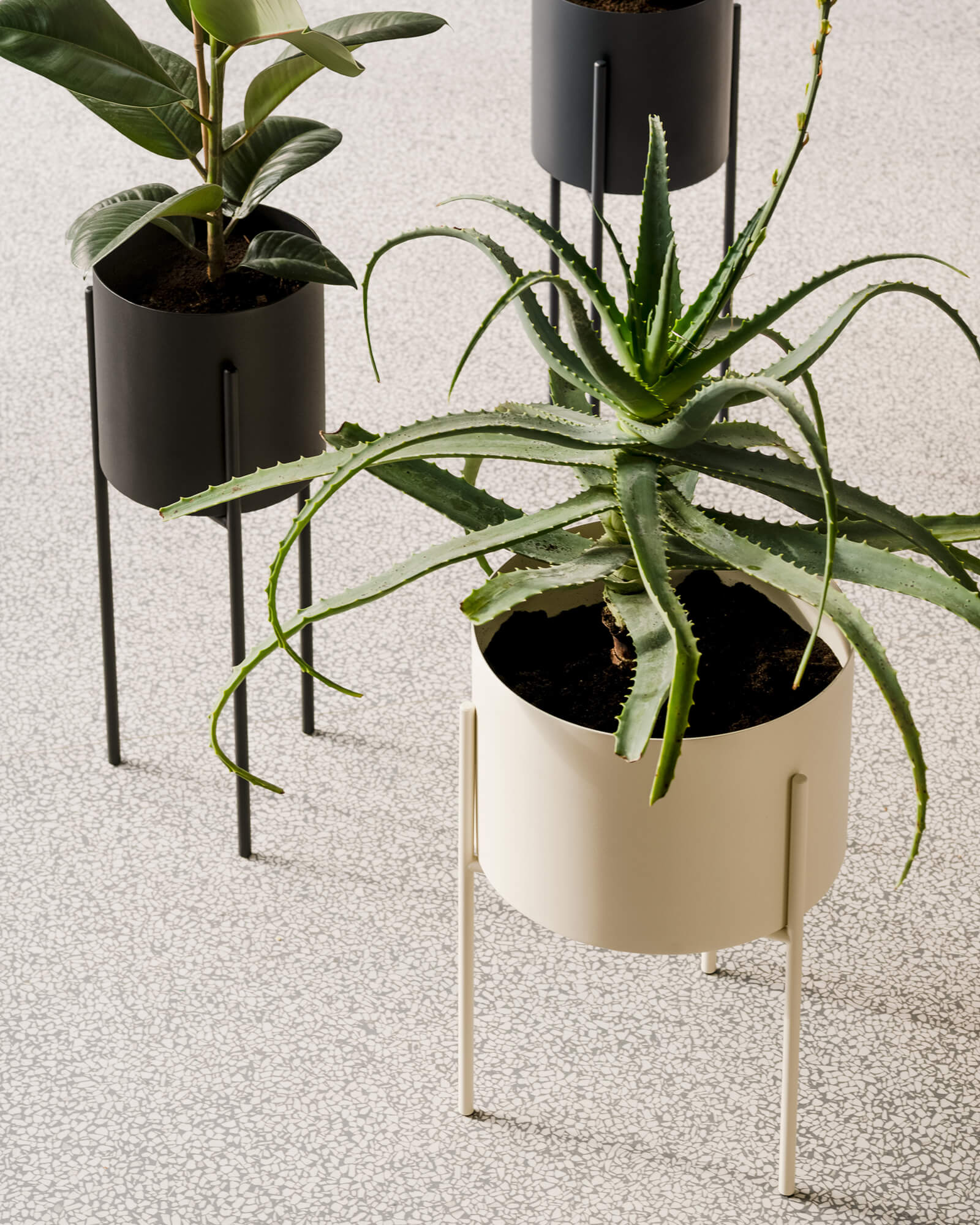 Maki Plant Pot - wide - Image 6