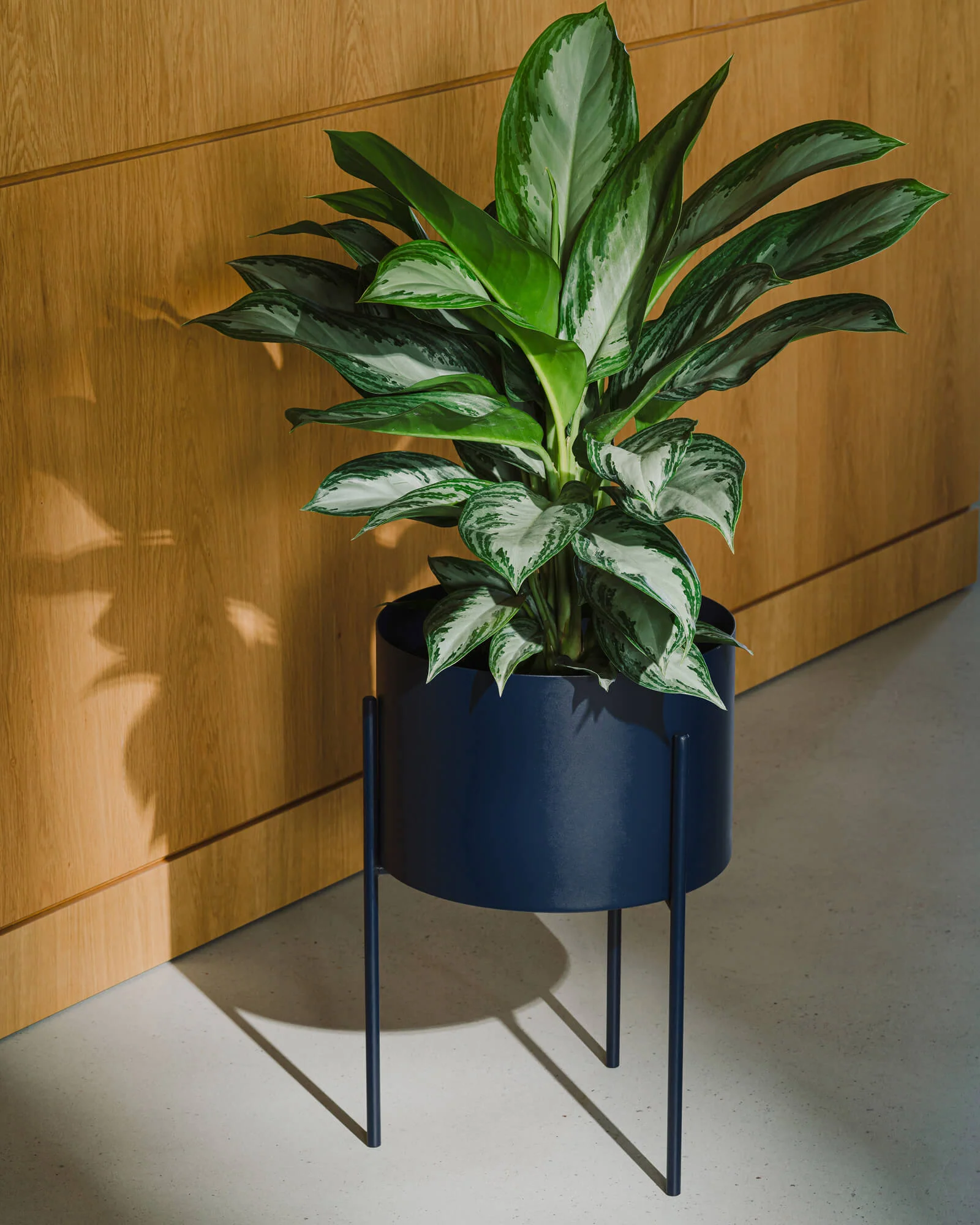 Maki Plant Pot - wide - Image 5