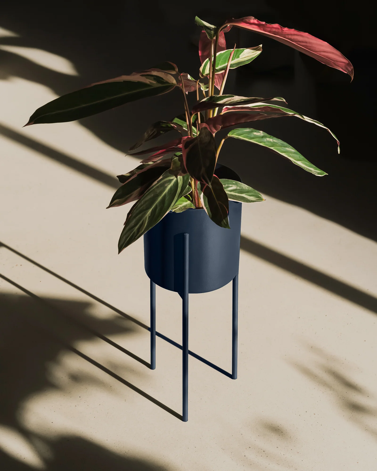 Maki Wide & Tall Bundle - Image 15