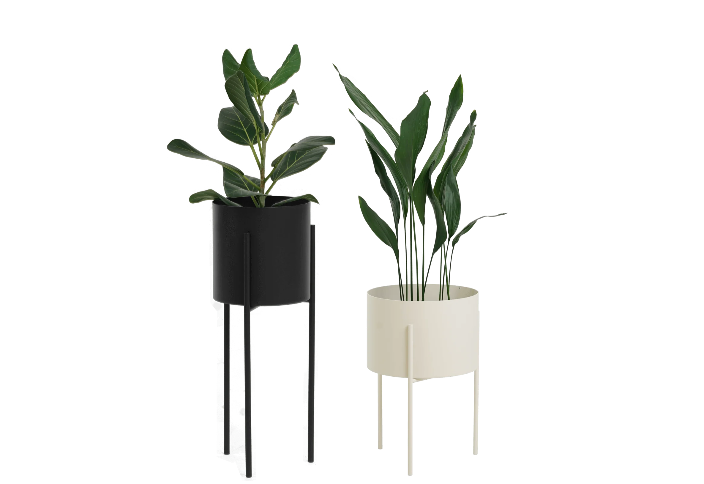 Maki Wide & Tall Bundle - Image 9